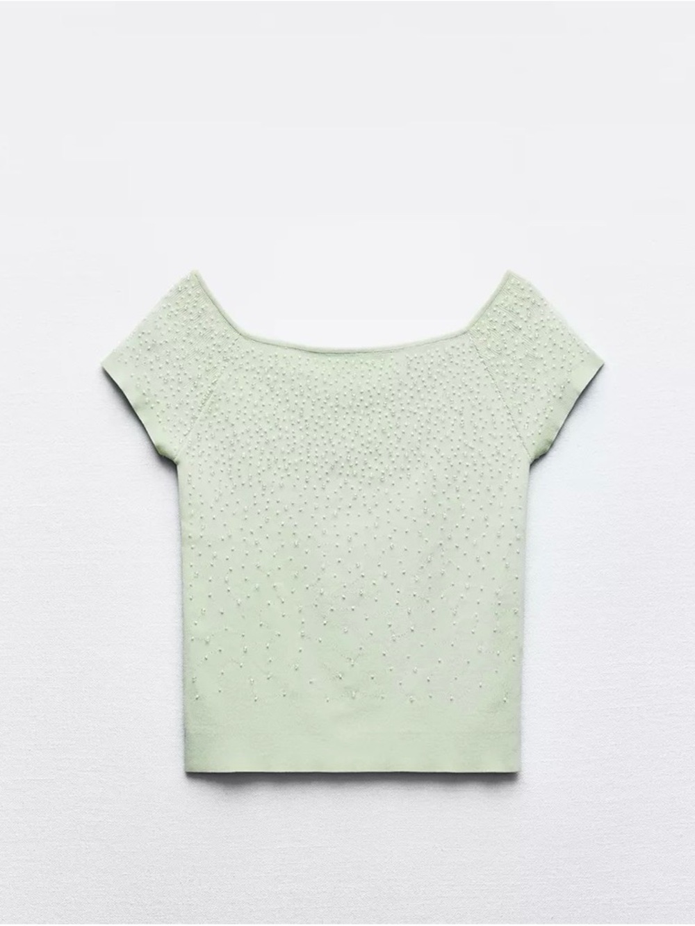 Zara Light Mint Embellished Crop Top